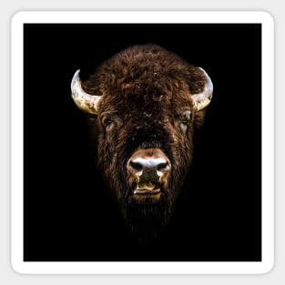 Bison head Sticker